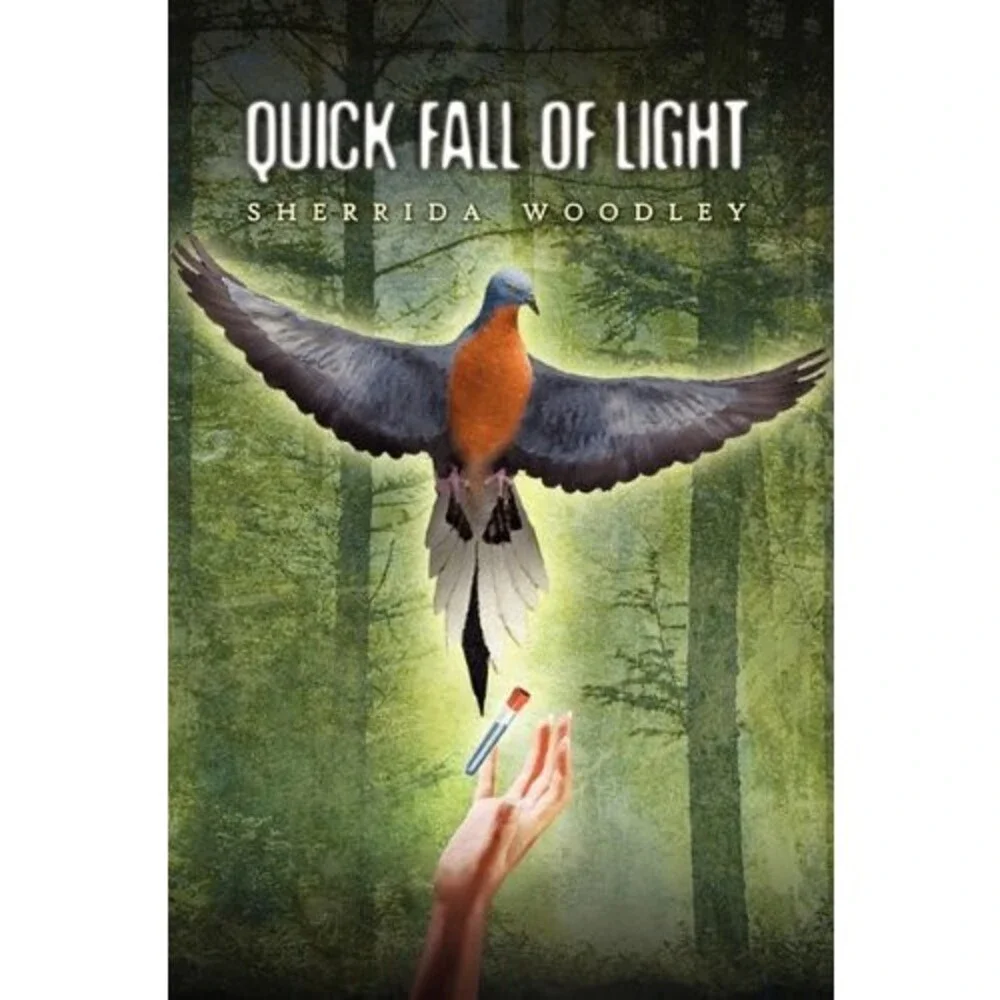Quick Fall of Light